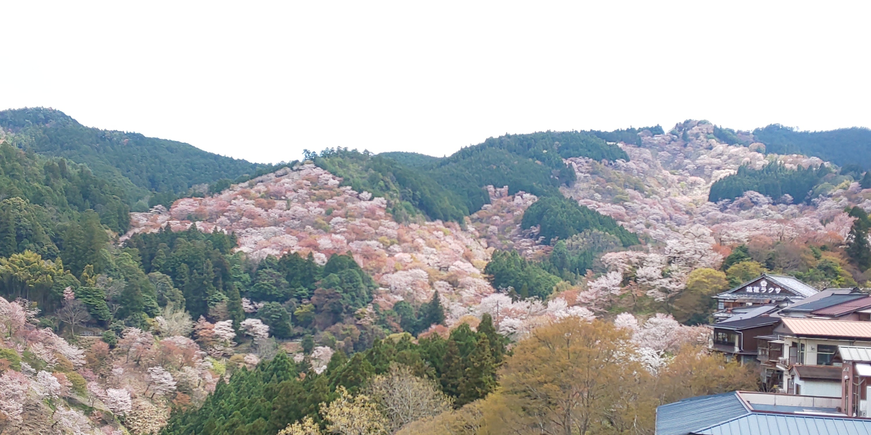 満開