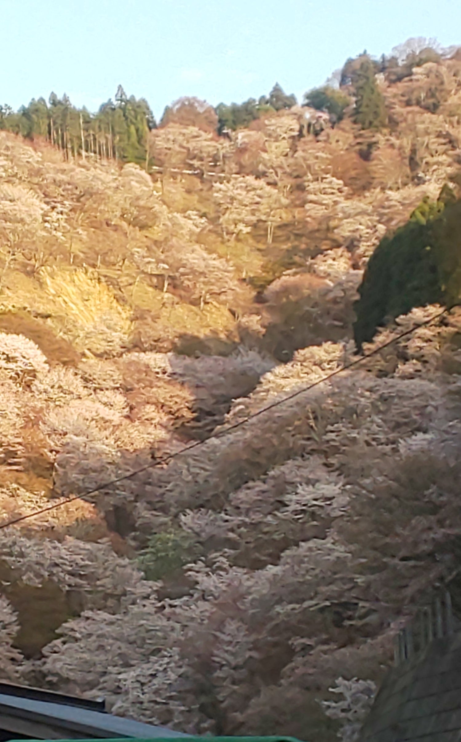 卯月朔日