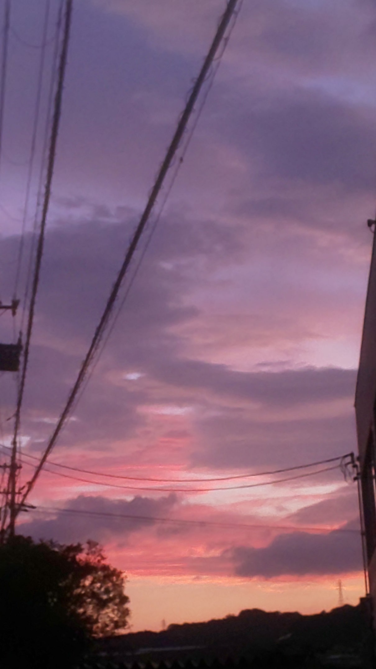 夕焼け