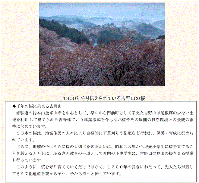 「日本で最も美しい村」