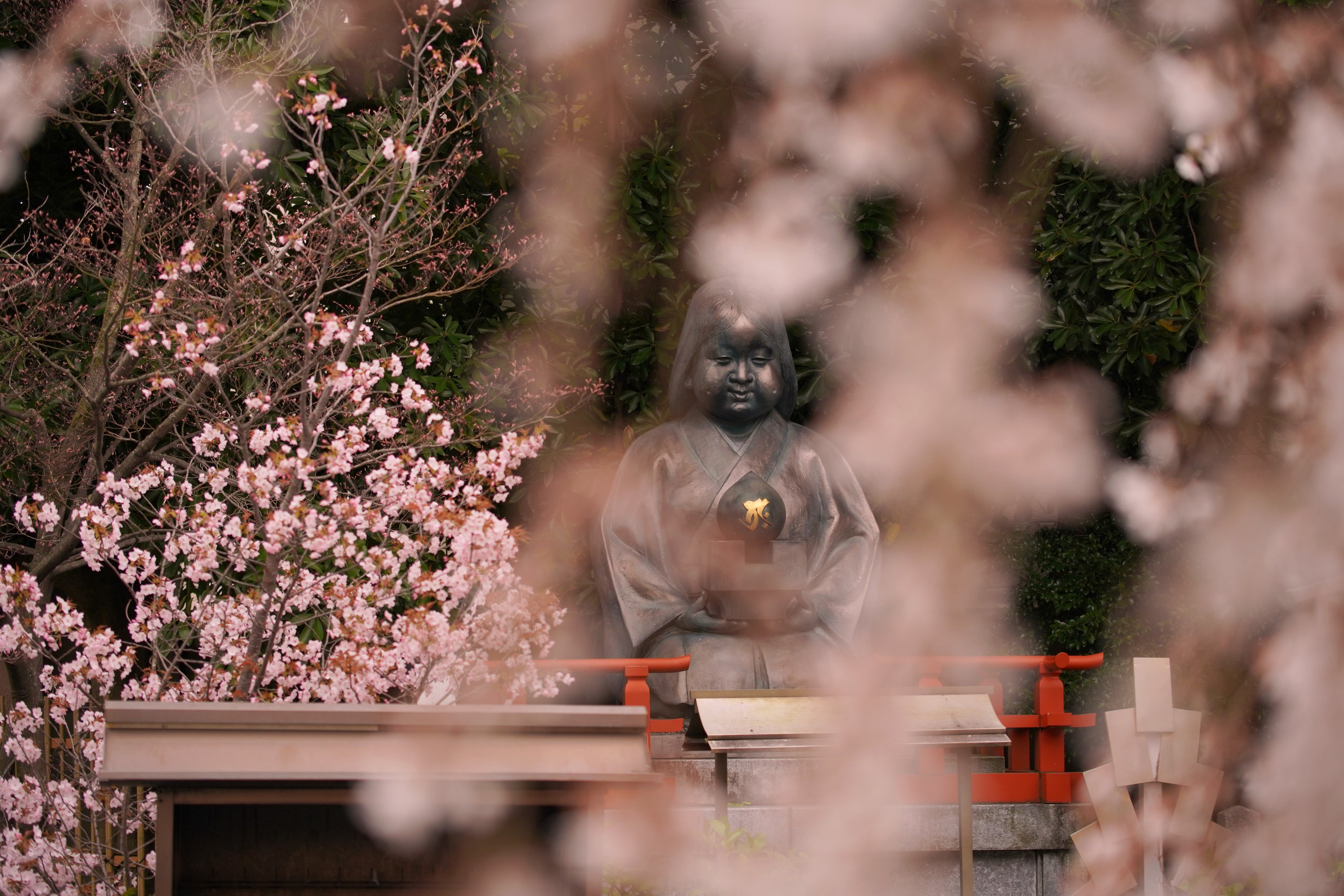 今年の桜
