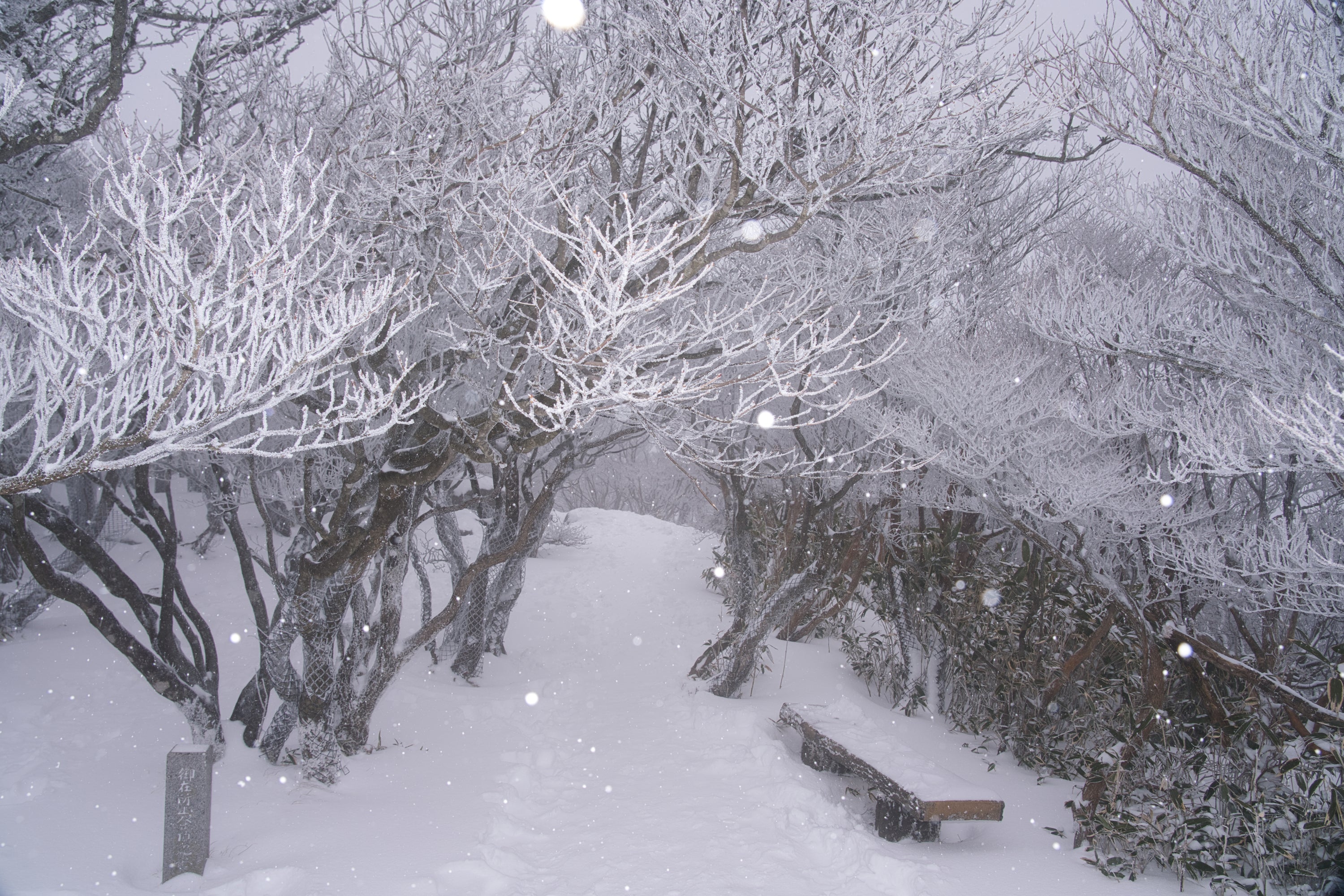 そうだ、雪山に行こう!