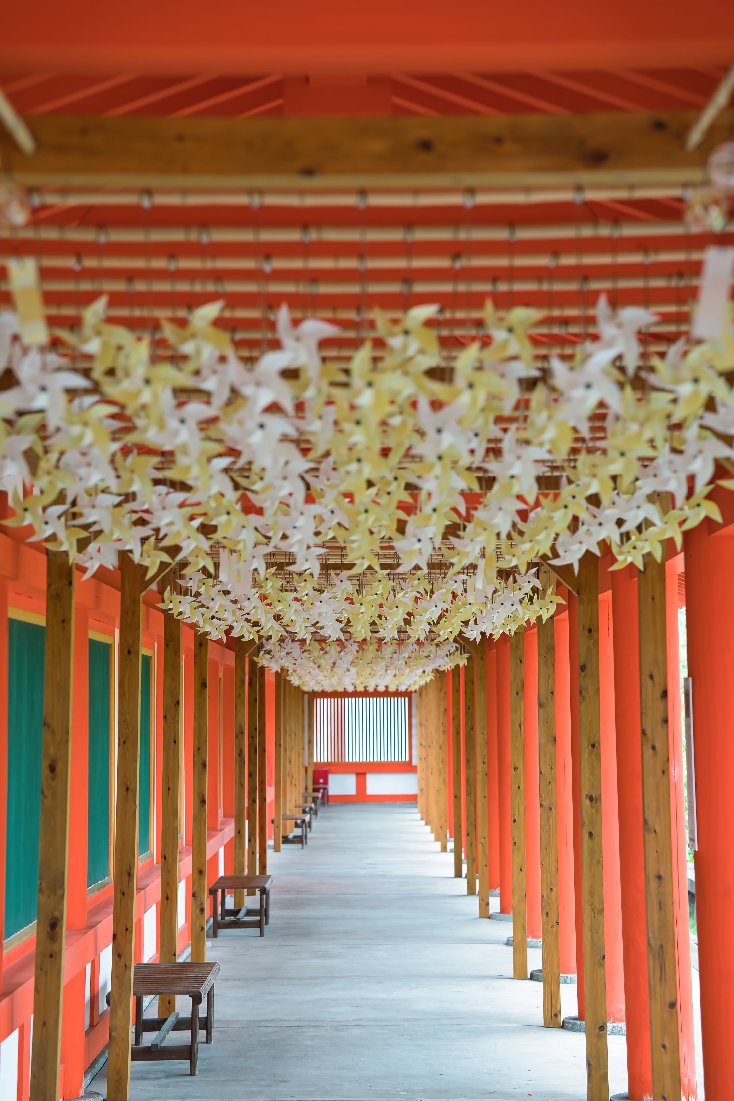 そうだ、京都行こう