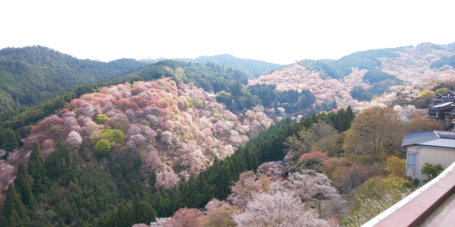 満開