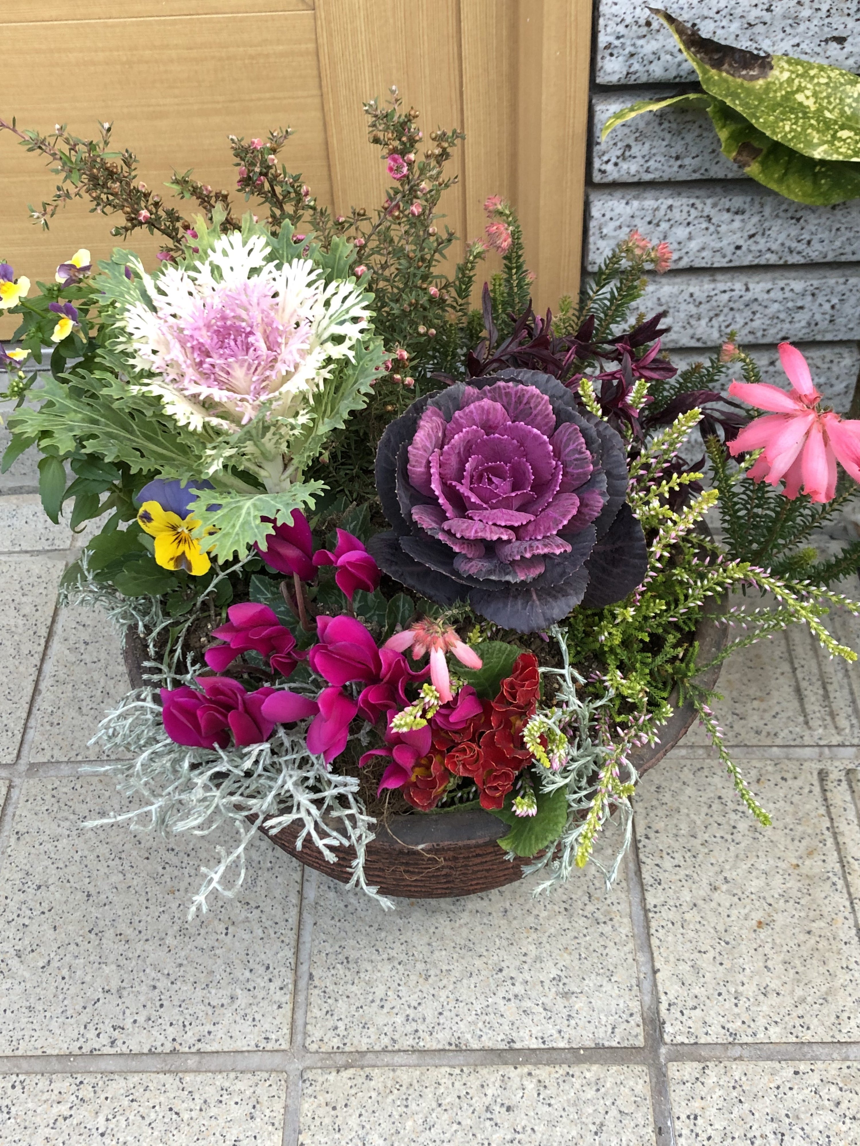 迎春用の寄せ植え