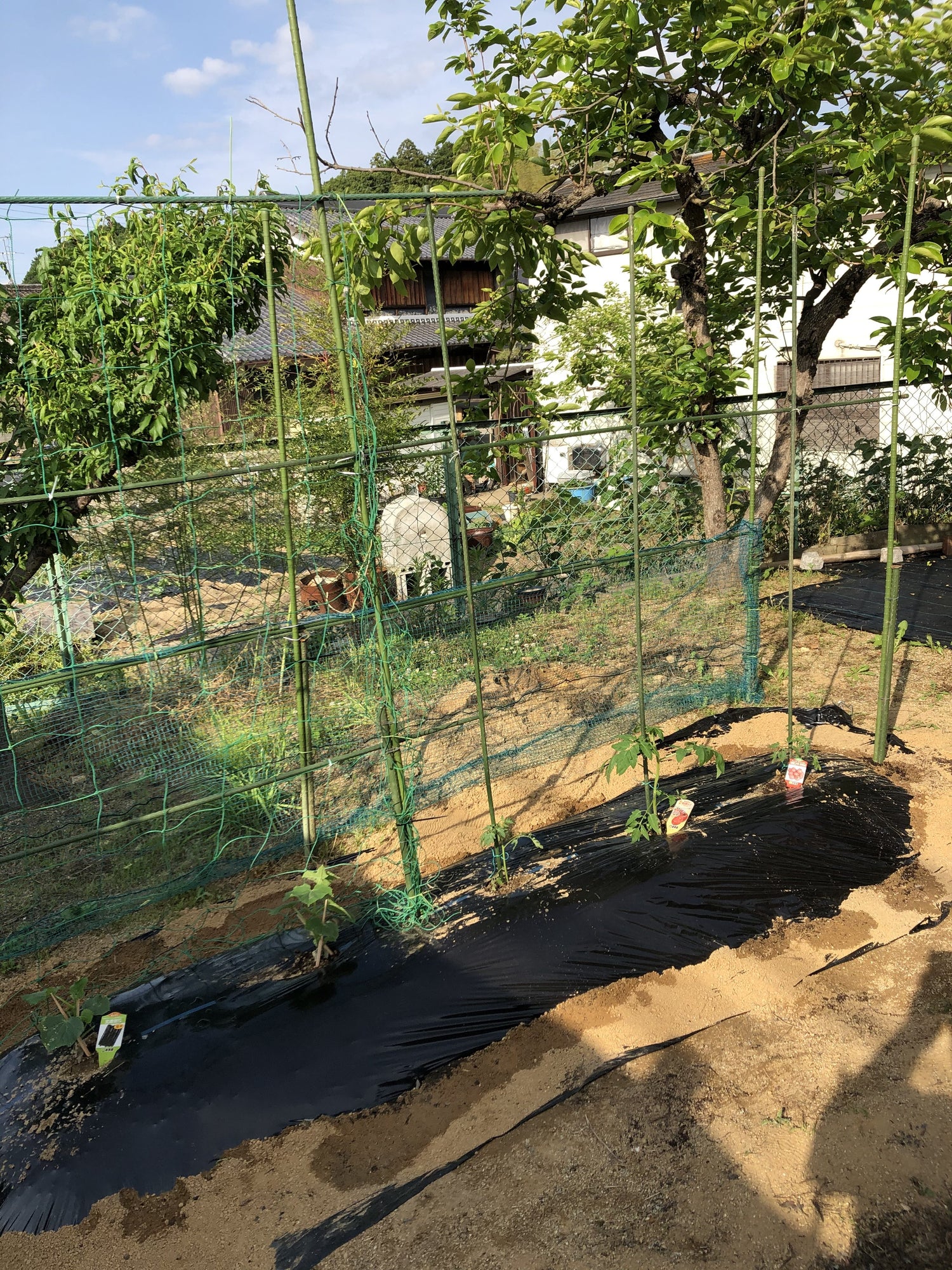 家庭菜園