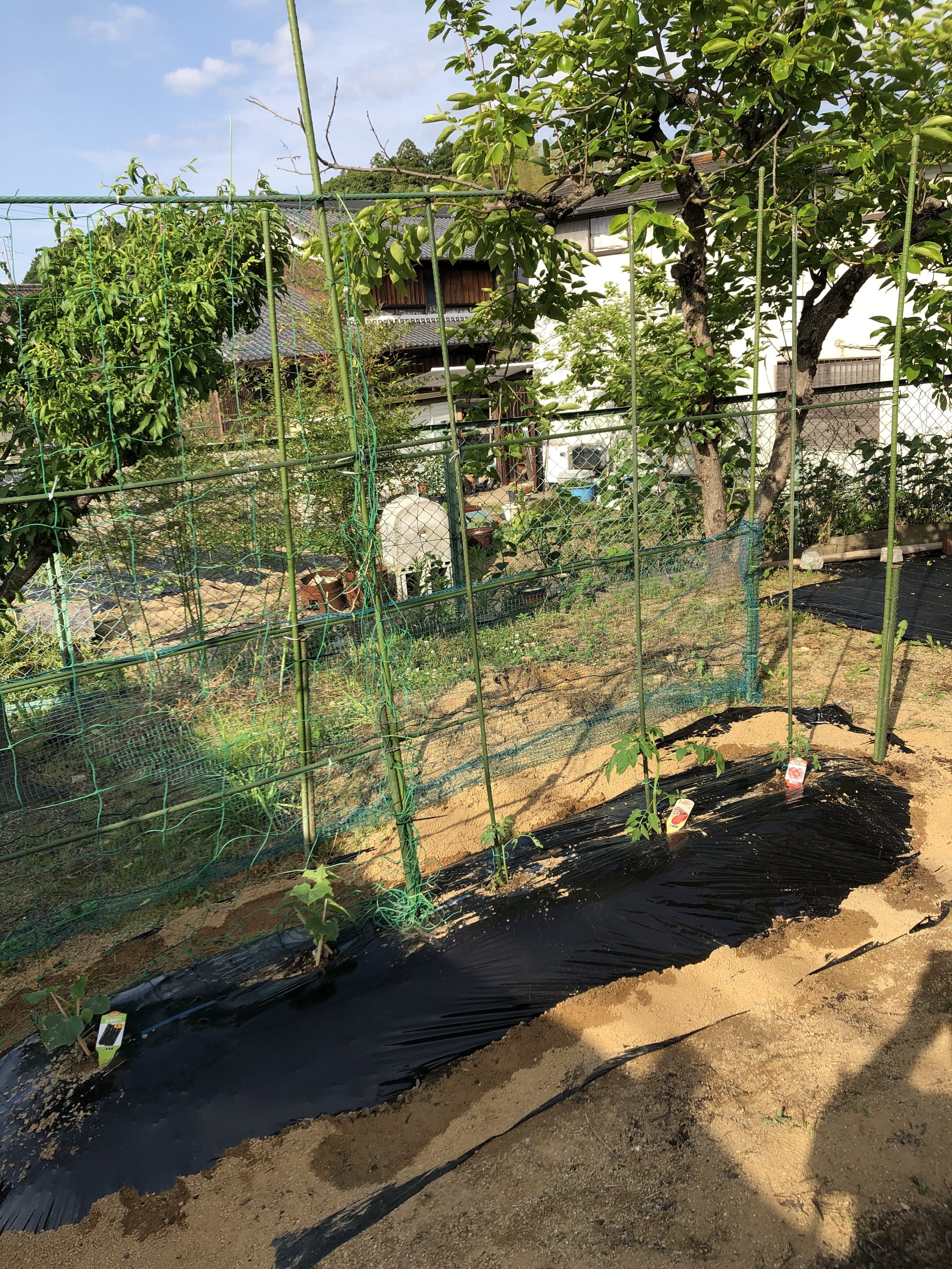 家庭菜園