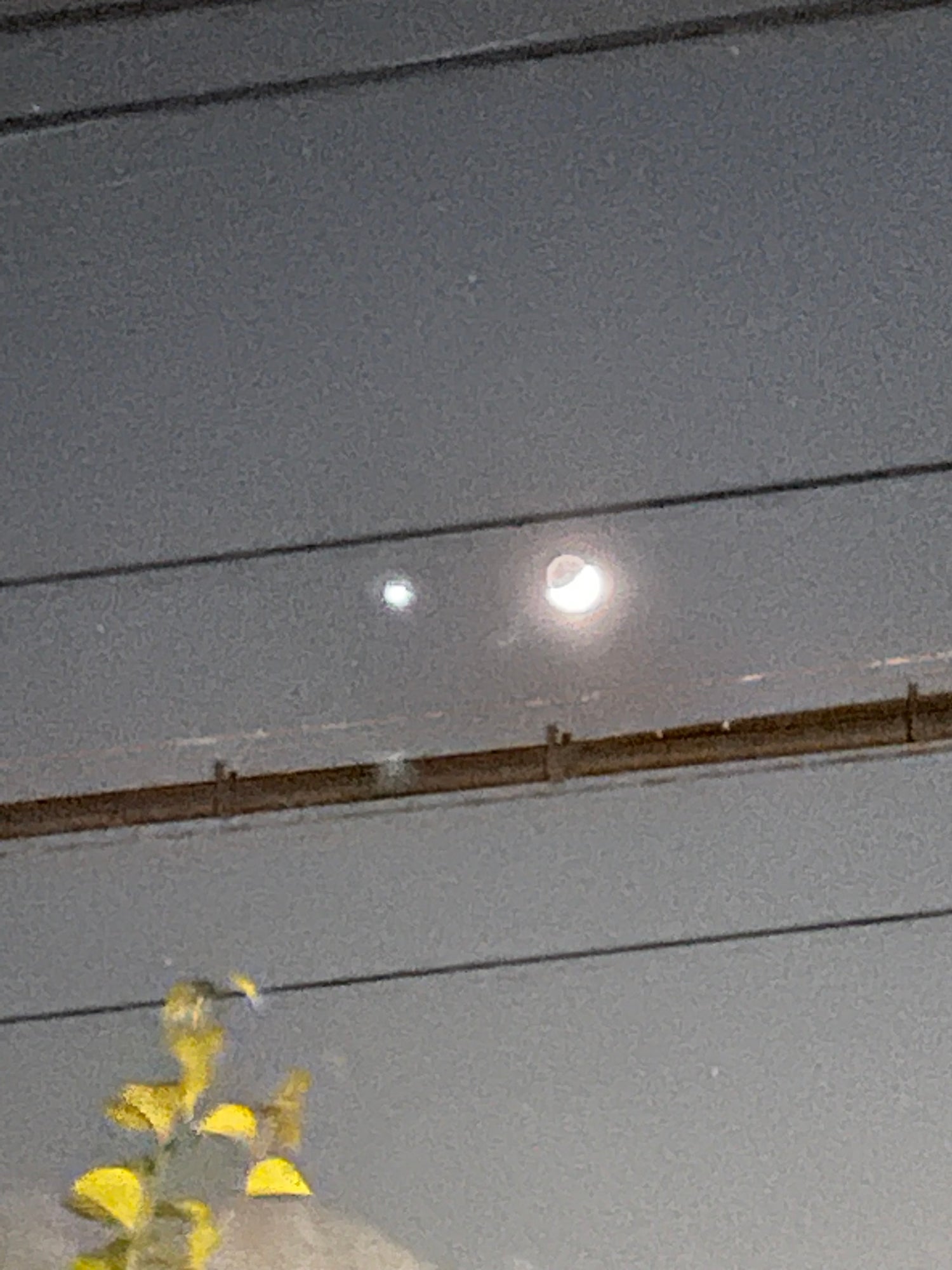 「金星」