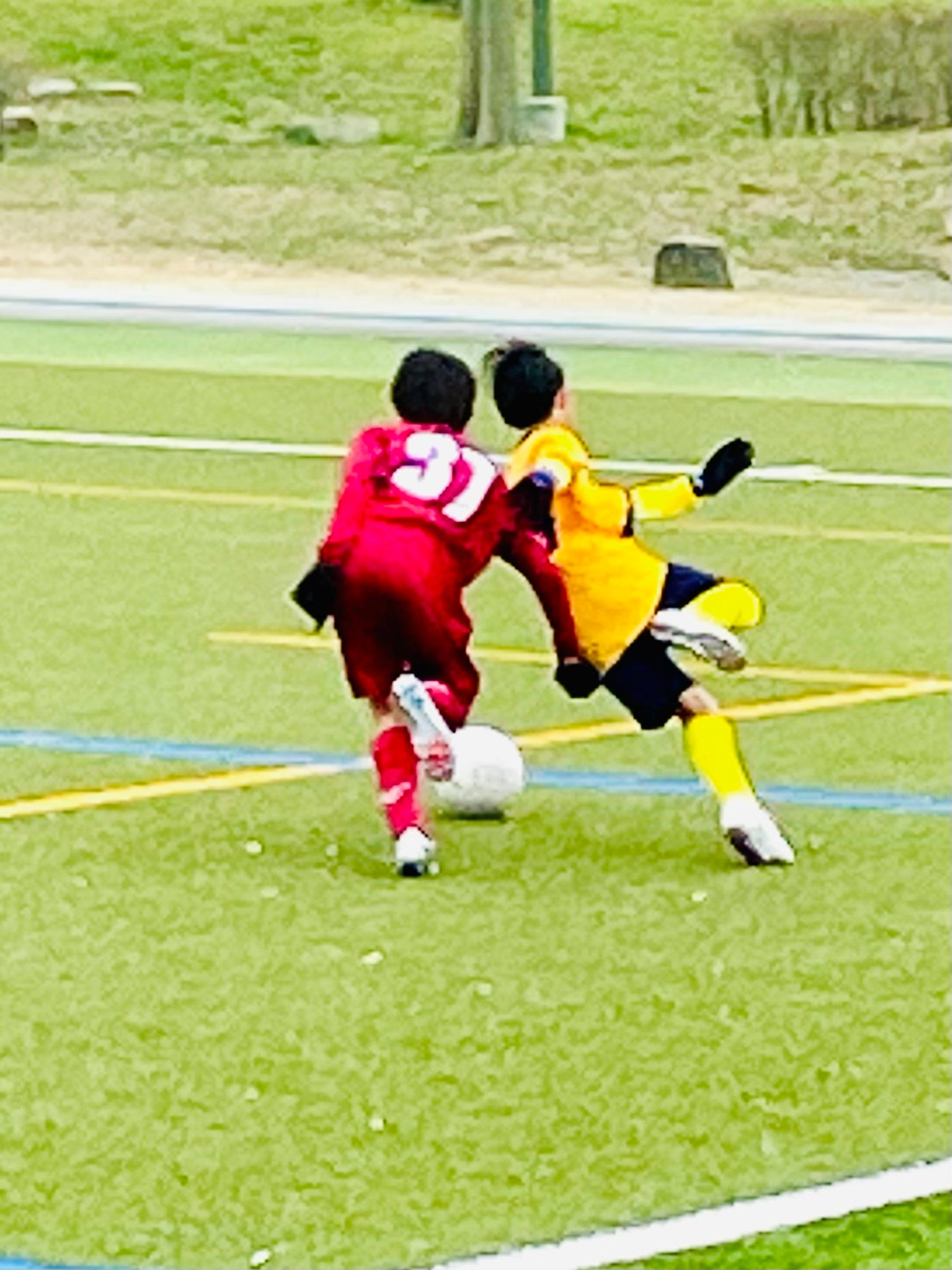 サッカー観戦