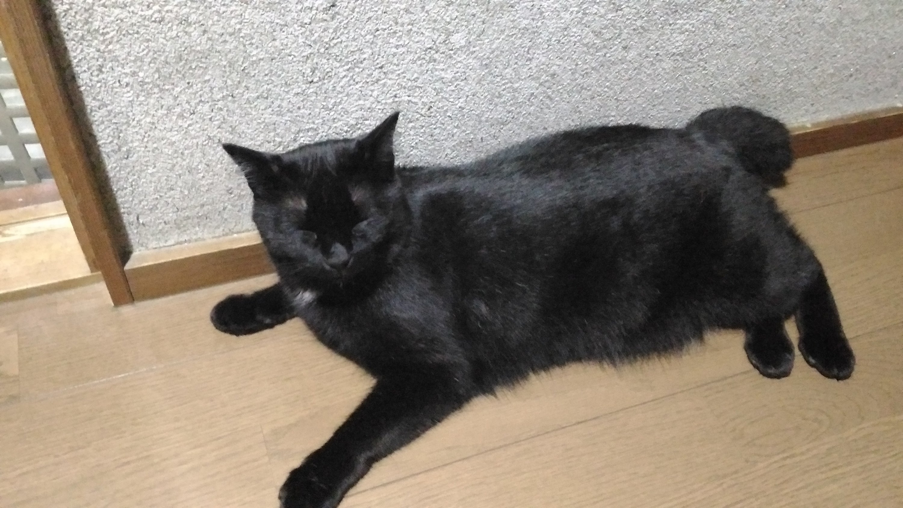 癒し