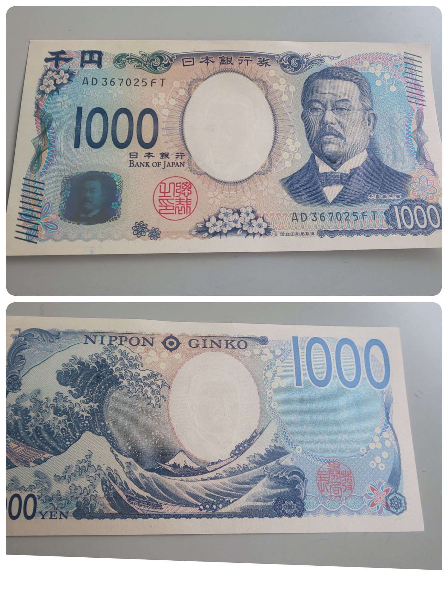 10日目にして・・・