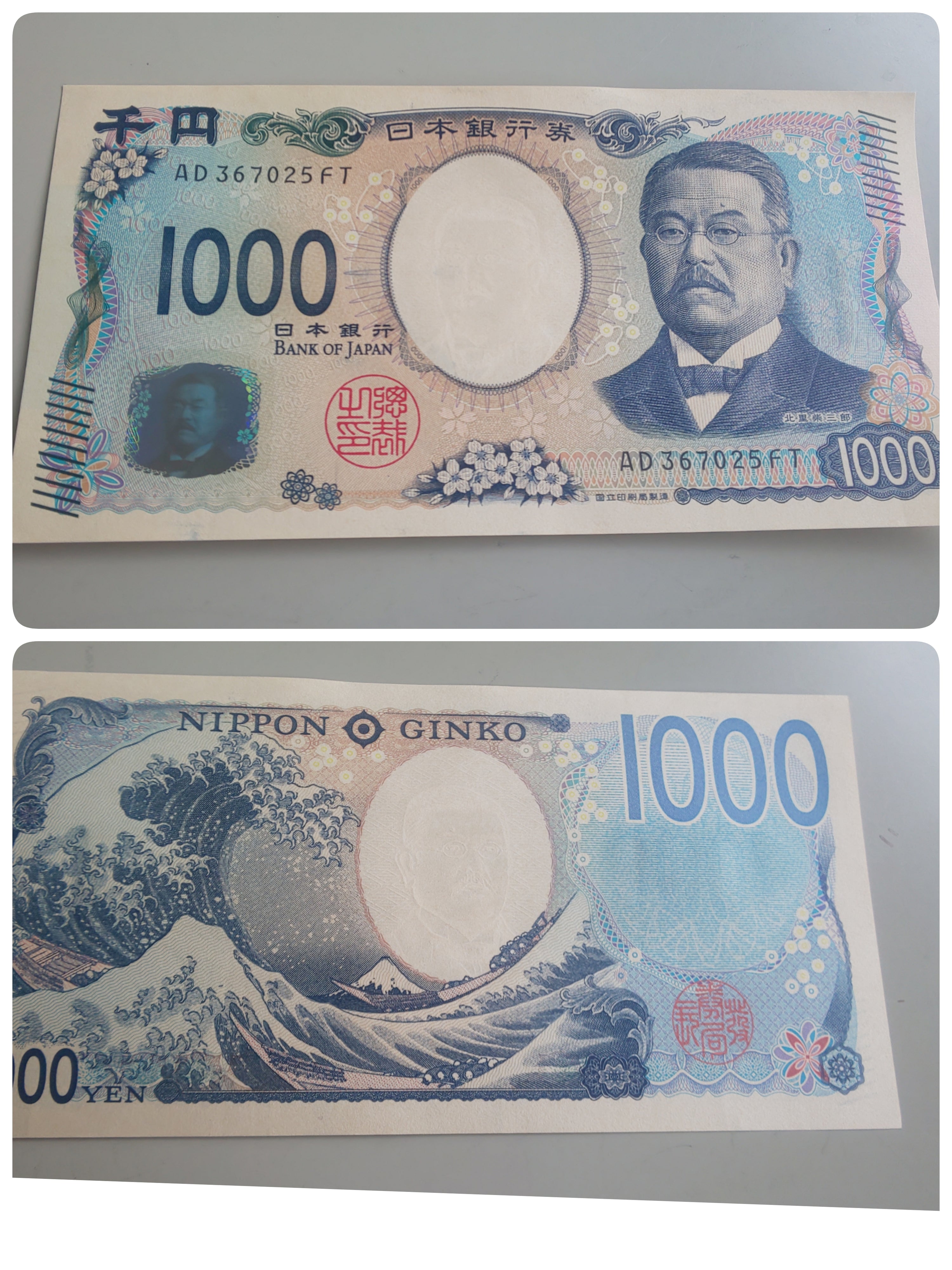 10日目にして・・・
