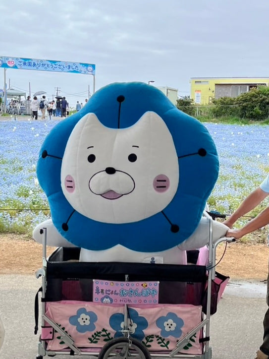 ネモフィラ祭り