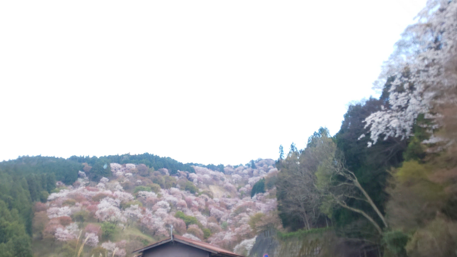 上千本