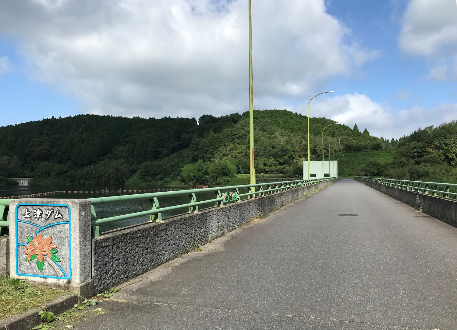 練習会デビュー