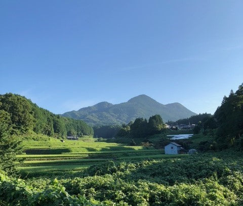 お気に入りの景色
