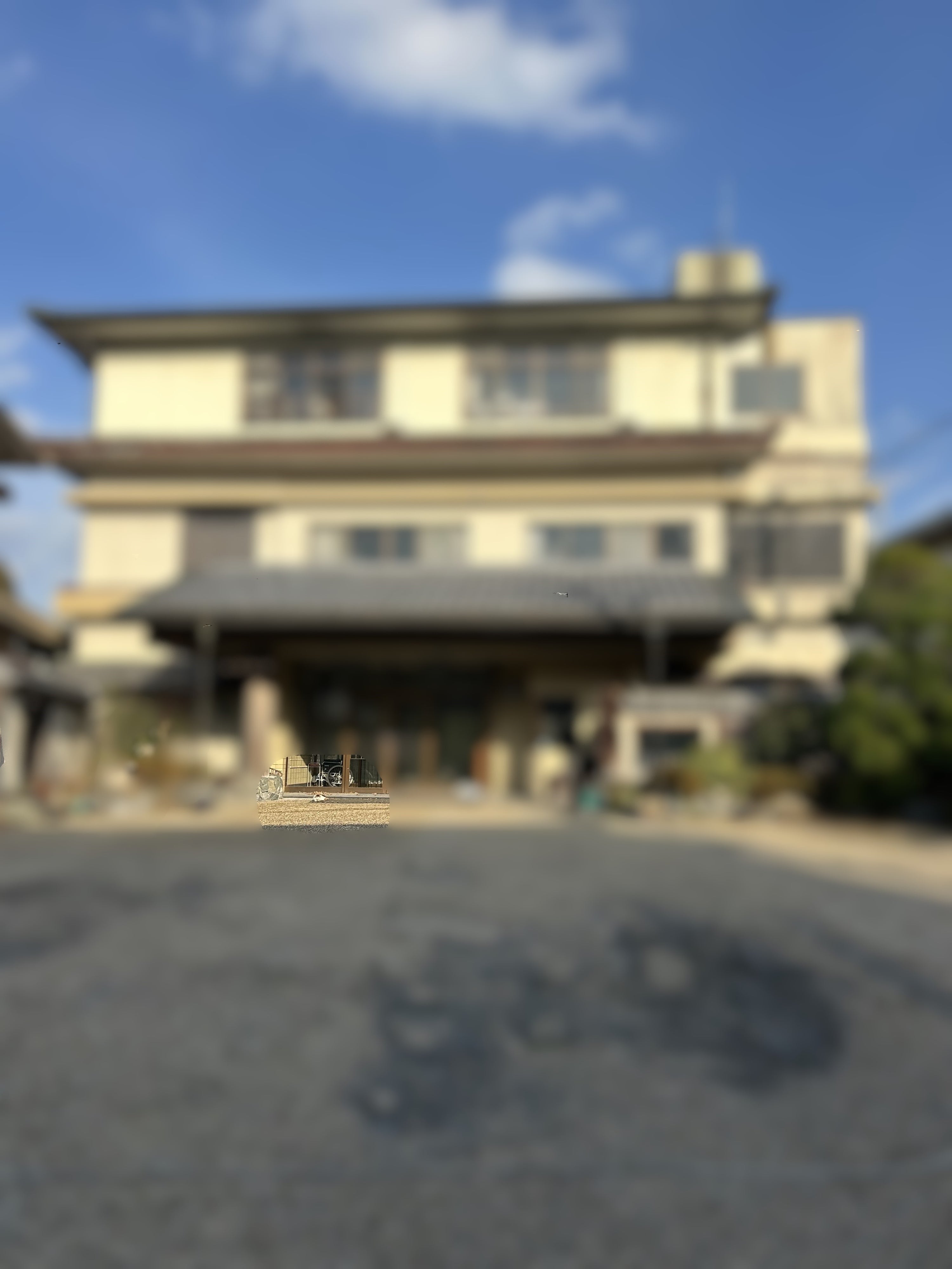 日向ぼっこ