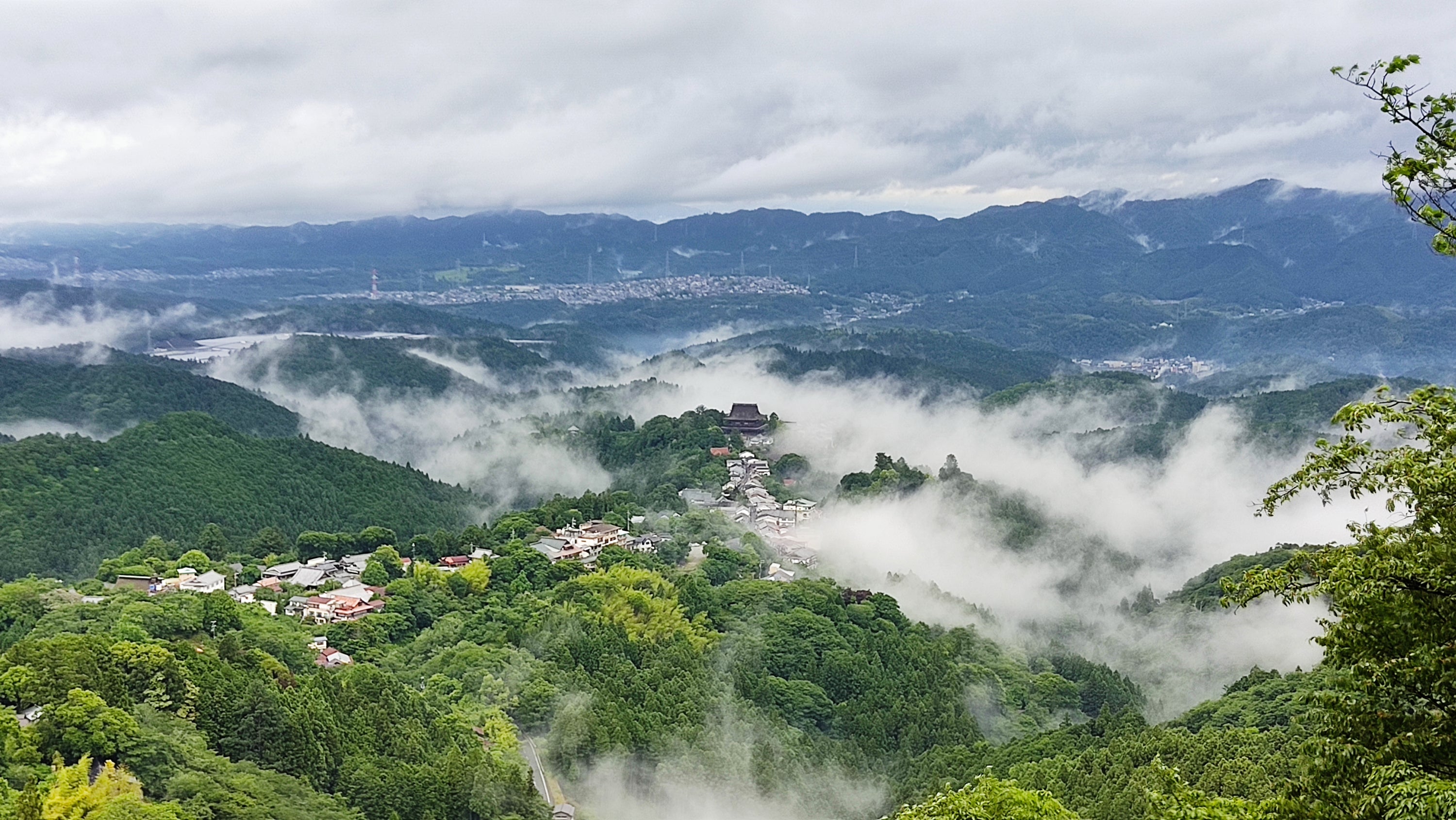 雲海と言うには雲が足りない霧の吉野山