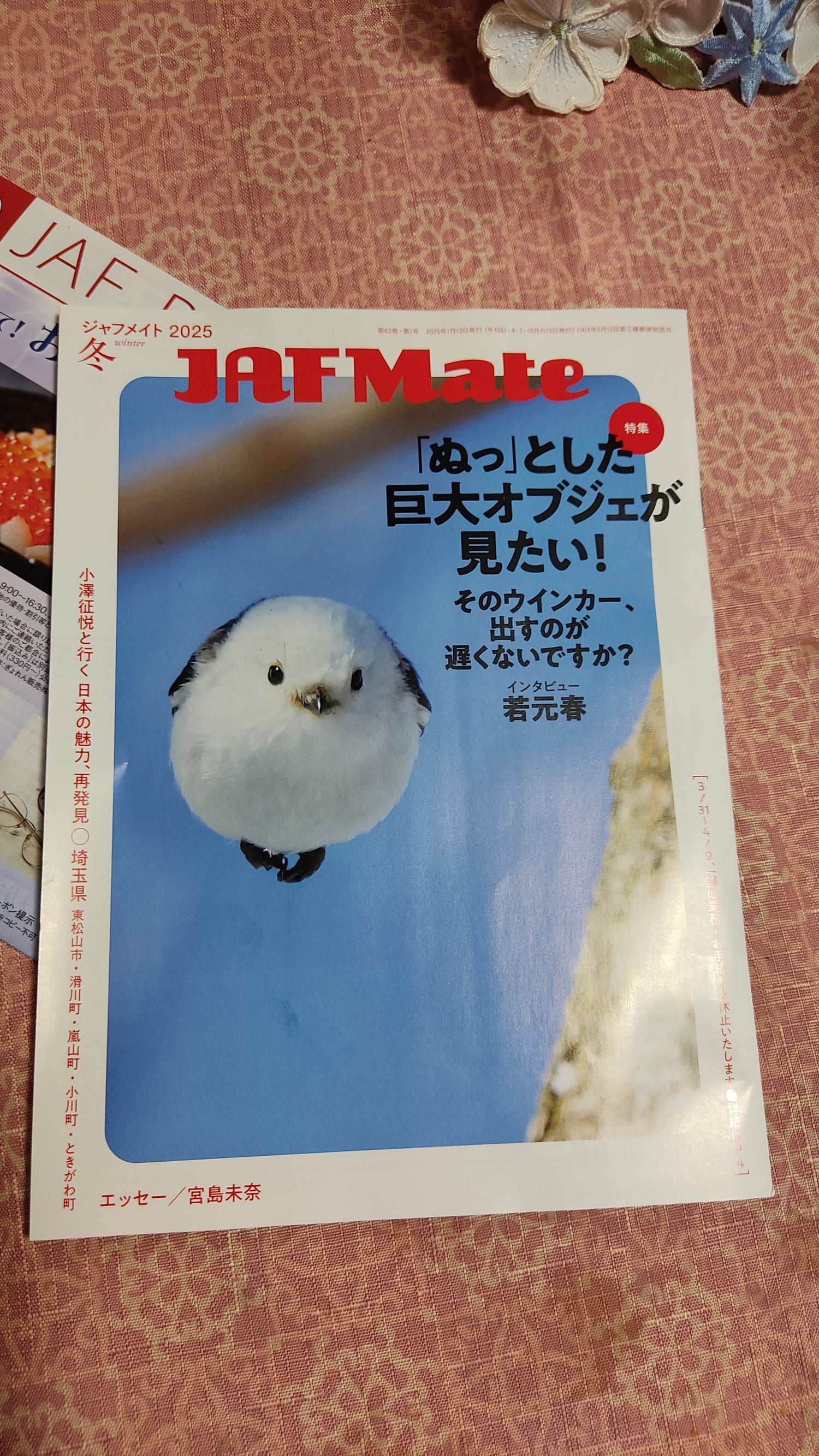 シマエナガ