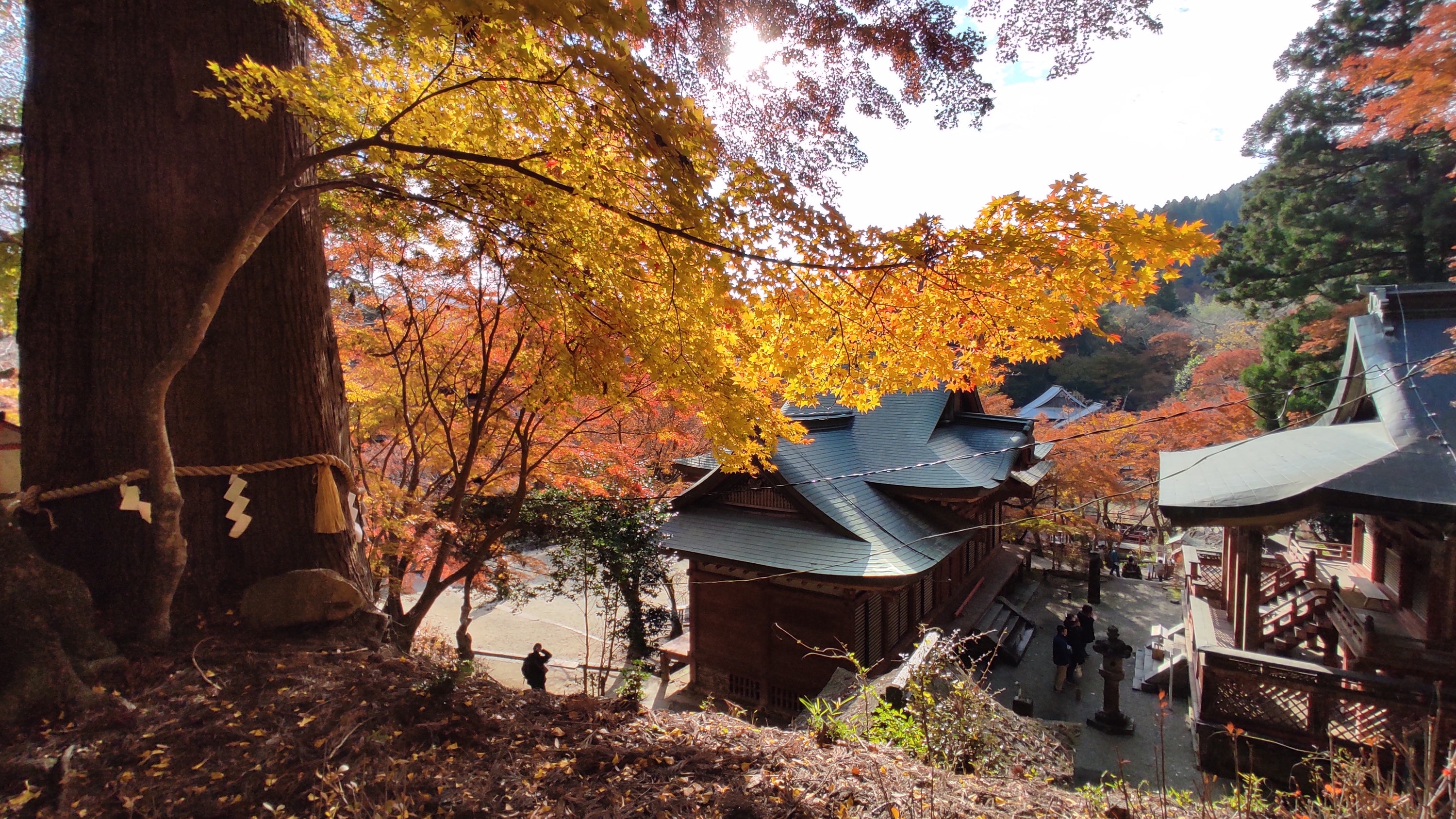 談山神社