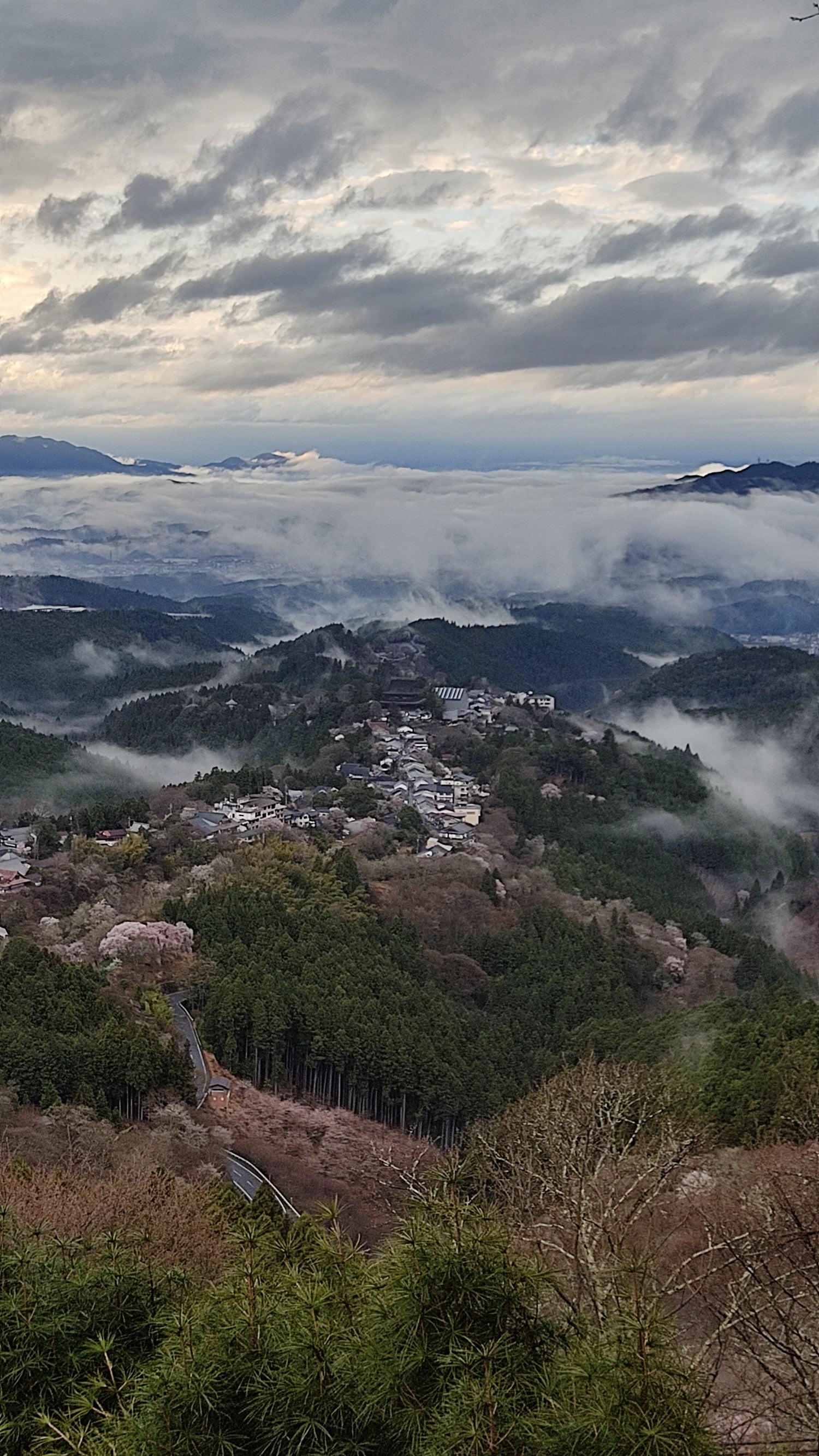 上千本花矢倉からの雲海