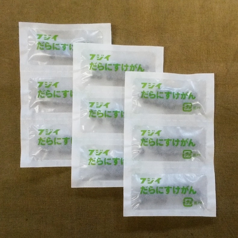 フジイ陀羅尼助丸 分包